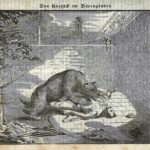 Von Bären und Kranichmorden