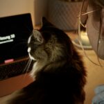 Der Kampf um die Podcasts